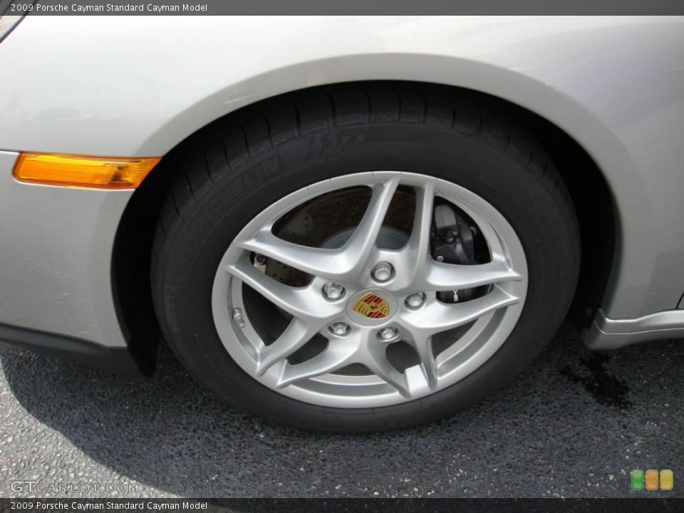 2009 Porsche Cayman  Wheel and Tire Photo #18049852