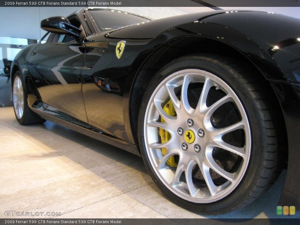 2009 Ferrari 599 GTB Fiorano  Wheel and Tire Photo #37872984