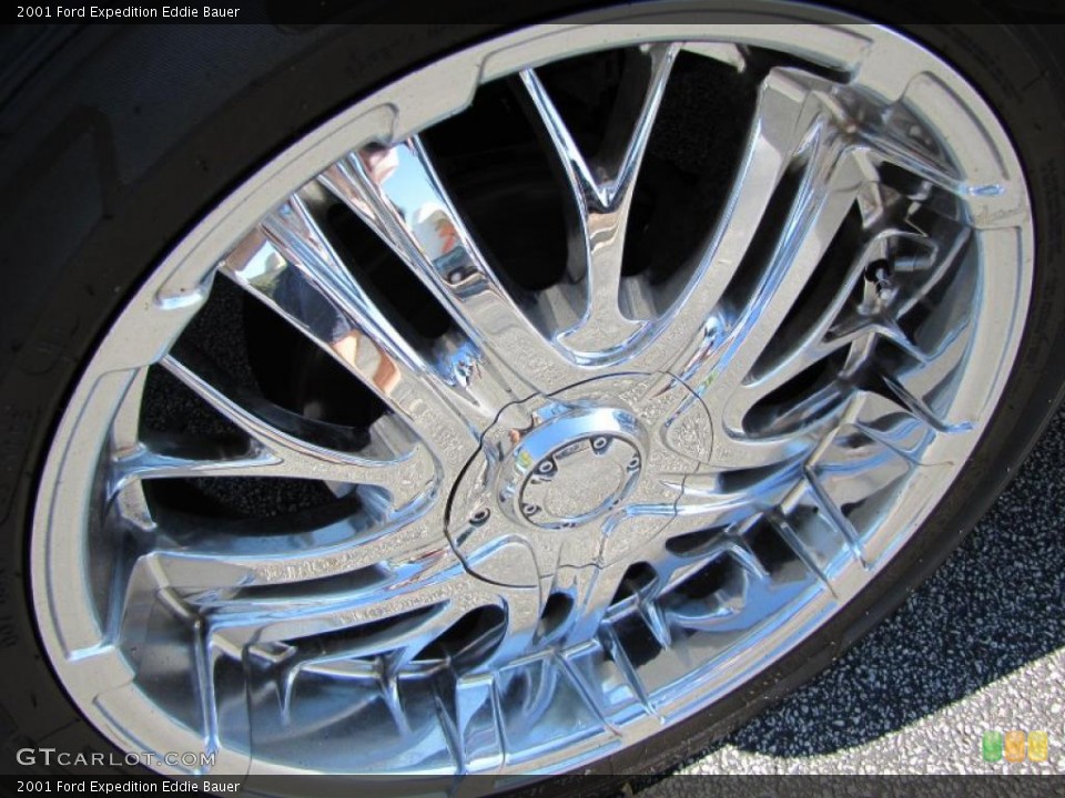 2001 Ford Expedition Custom Wheel and Tire Photo #38542807