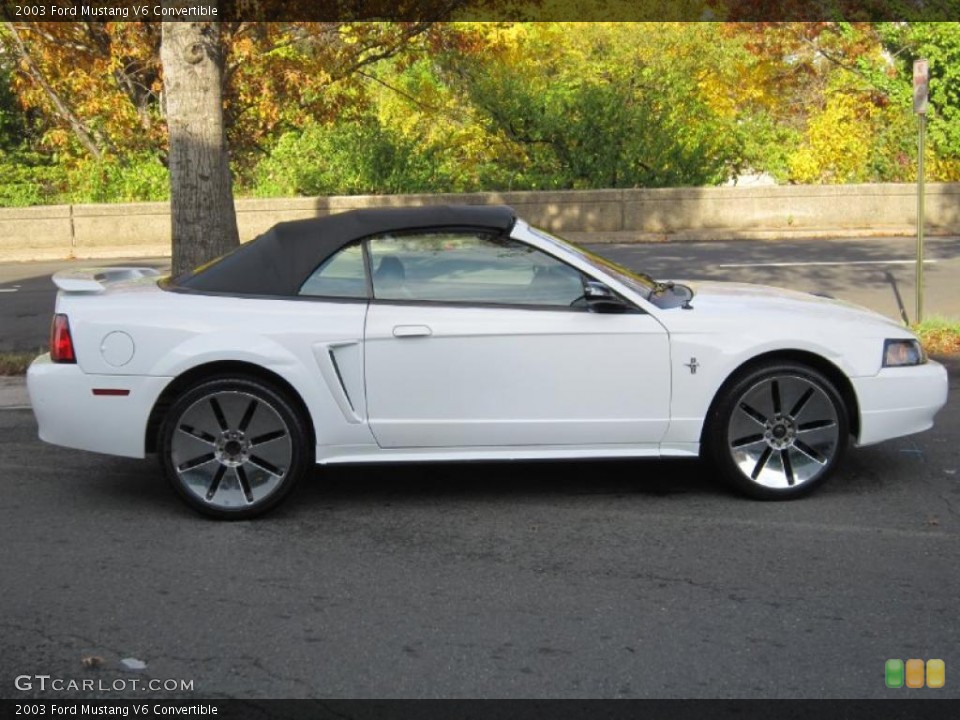 2003 Ford Mustang Custom Wheel and Tire Photo #38883793