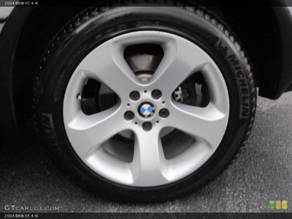 2004 BMW X5 4.4i Wheel and Tire Photo #39100366