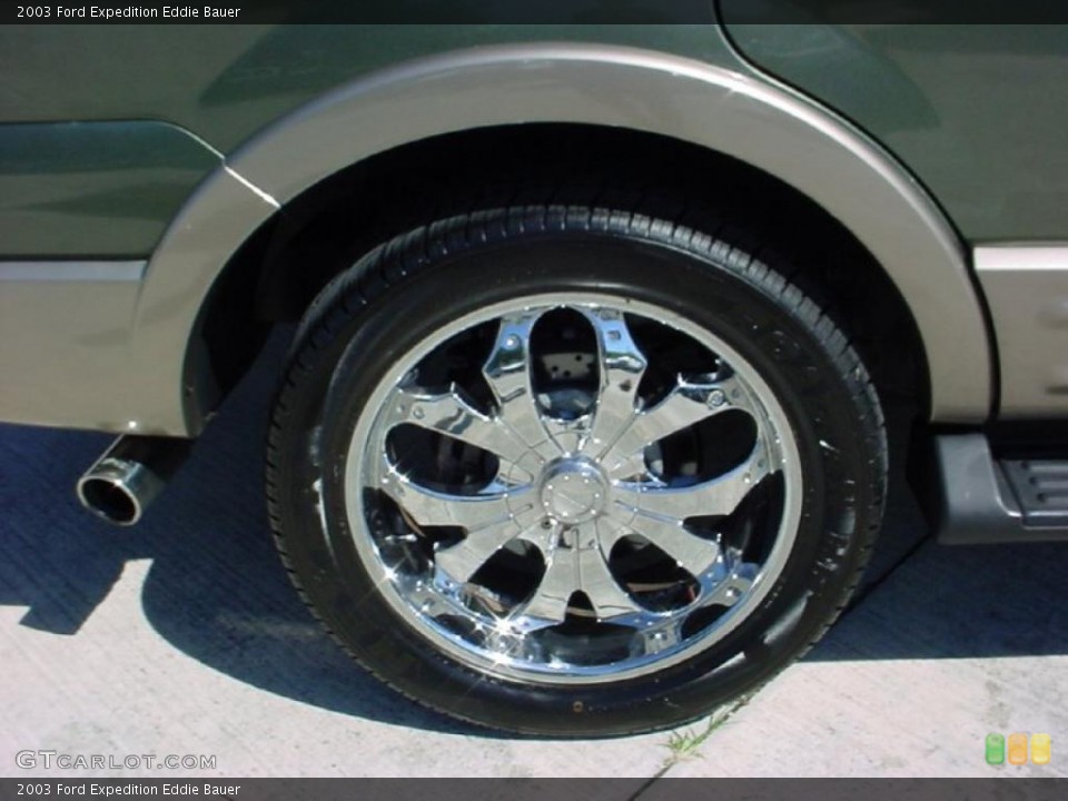 2003 Ford Expedition Custom Wheel and Tire Photo #39392925