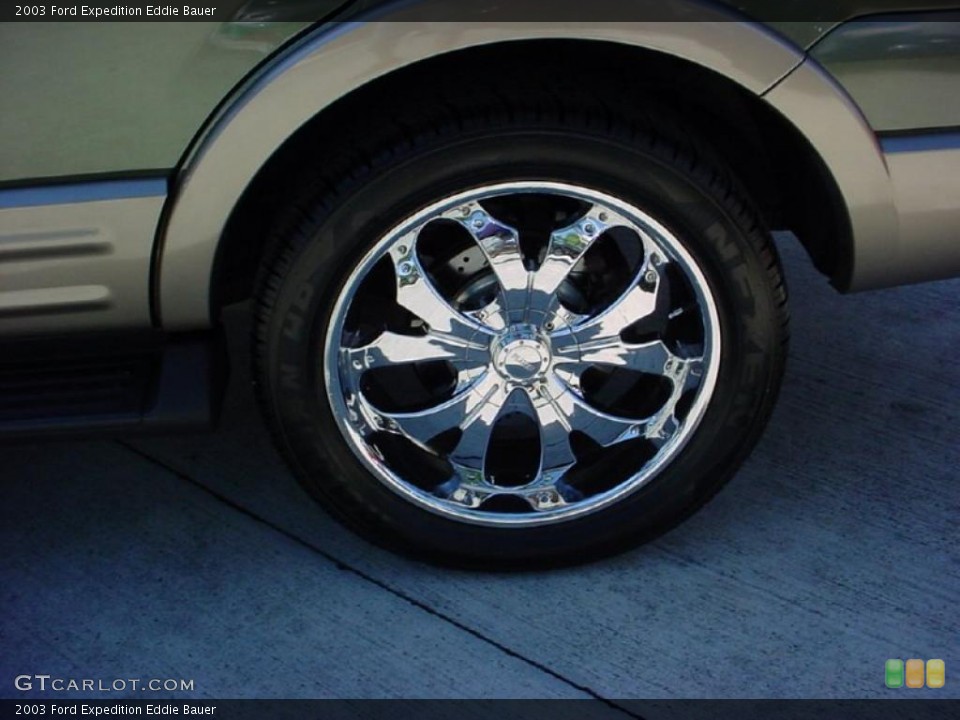 2003 Ford Expedition Custom Wheel and Tire Photo #39393053