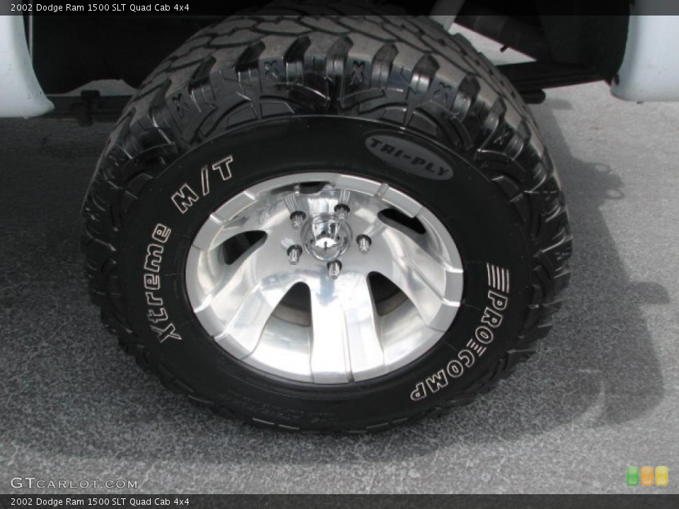 2002 Dodge Ram 1500 Custom Wheel and Tire Photo #39868583