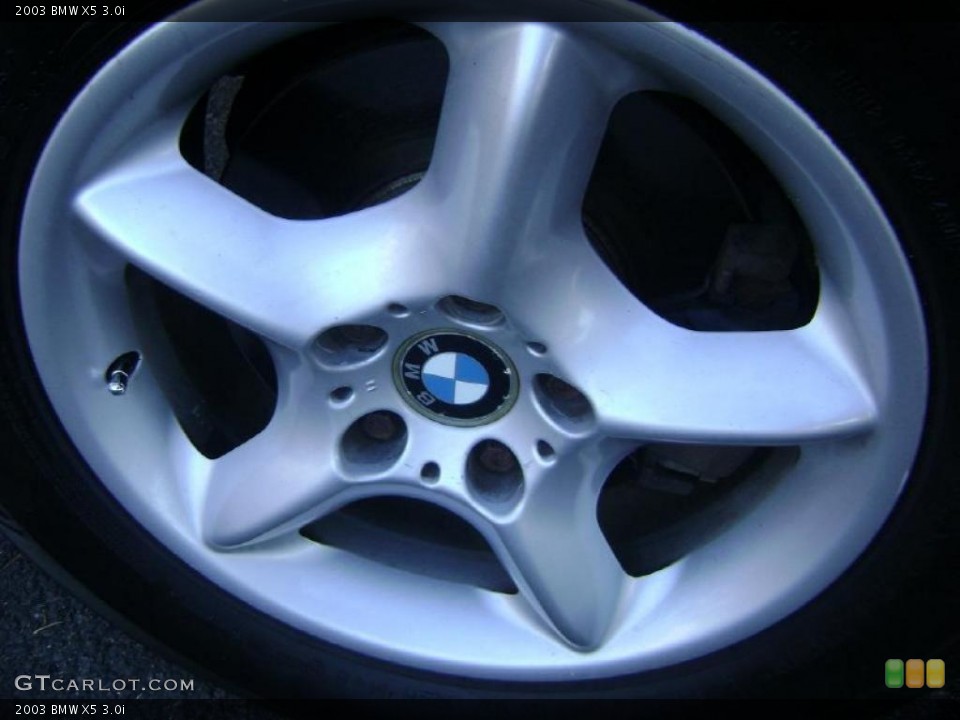 2003 BMW X5 3.0i Wheel and Tire Photo #39919035