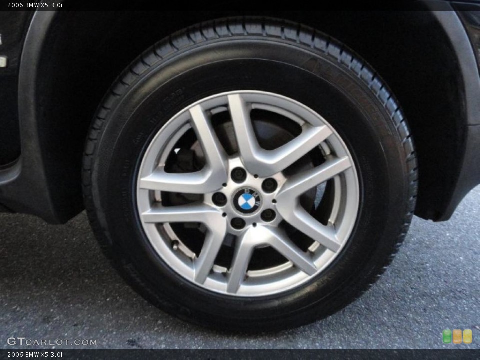 2006 BMW X5 3.0i Wheel and Tire Photo #40347406