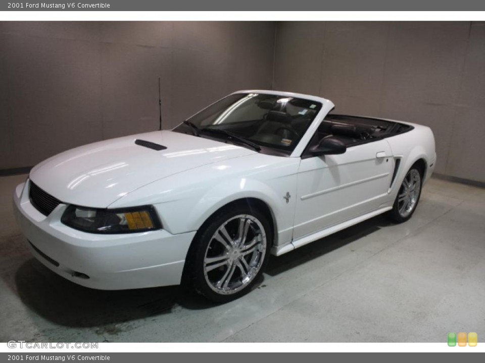 2001 Ford Mustang Custom Wheel and Tire Photo #43229287