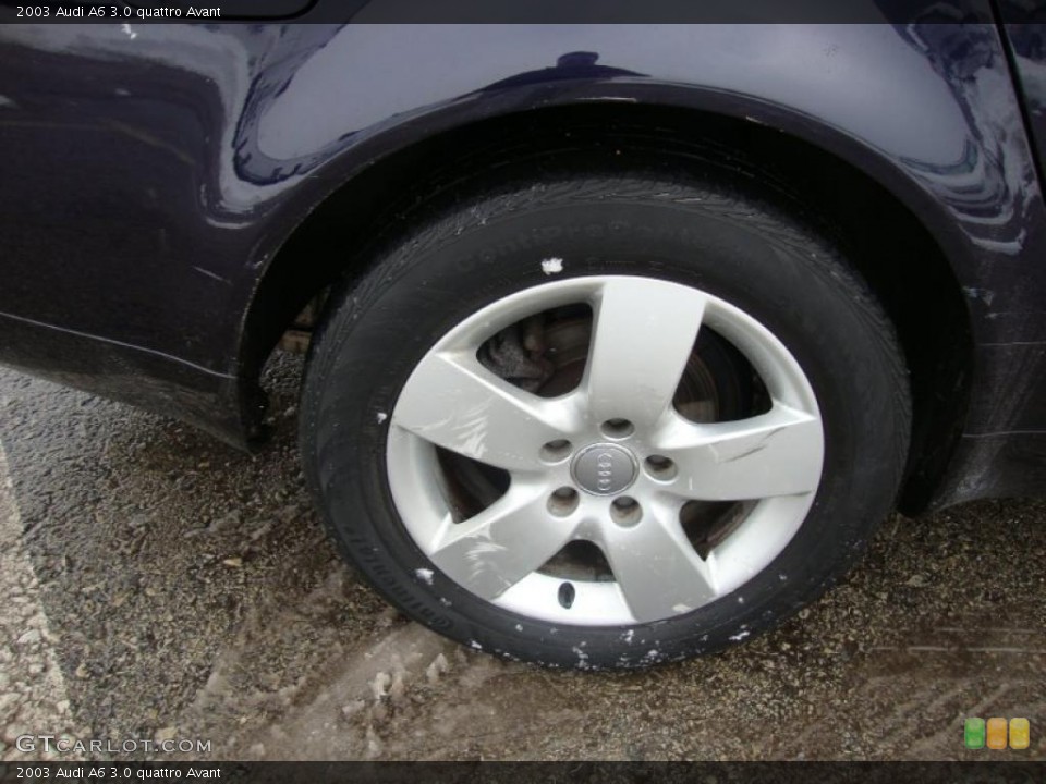 2003 Audi A6 3.0 quattro Avant Wheel and Tire Photo #44344746