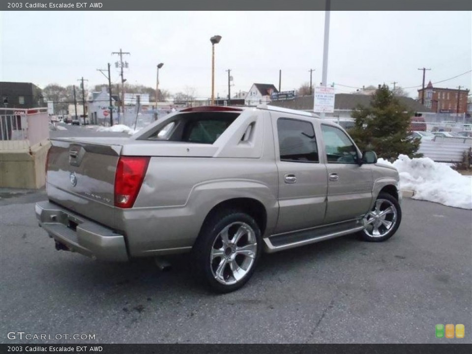 2003 Cadillac Escalade Custom Wheel and Tire Photo #45602882