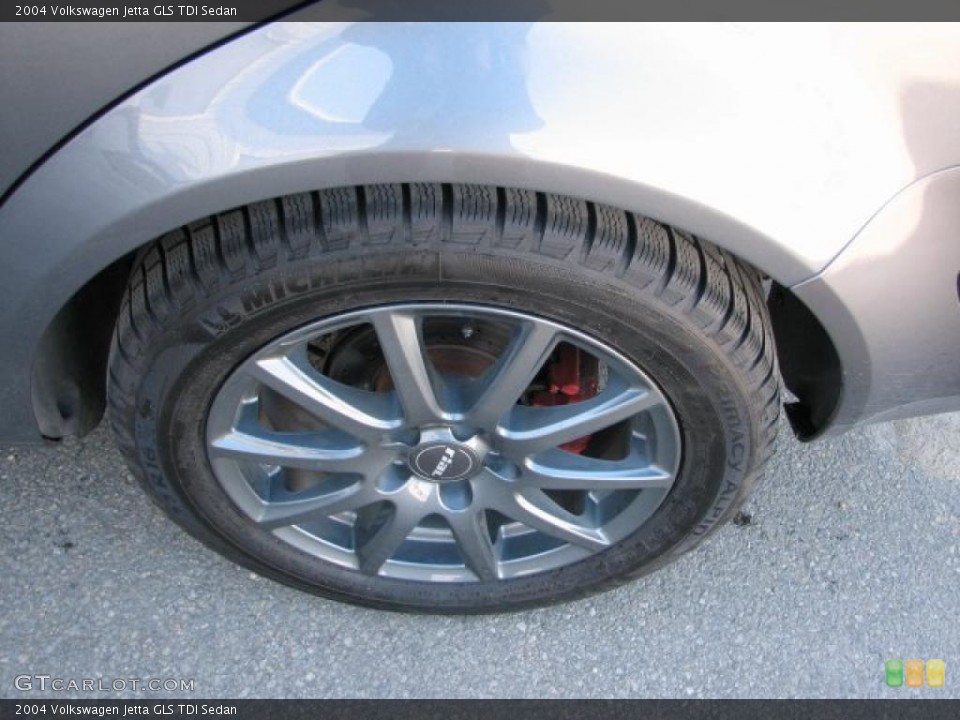 2004 Volkswagen Jetta Custom Wheel and Tire Photo #45754982