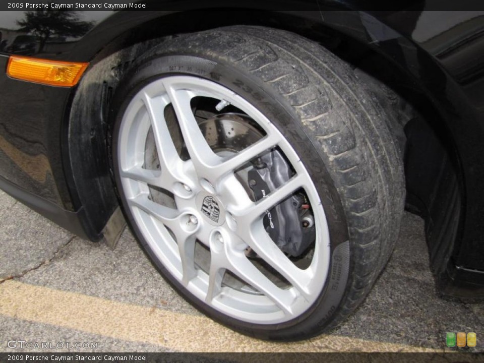 2009 Porsche Cayman  Wheel and Tire Photo #45827377