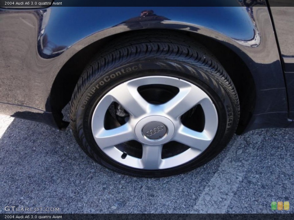 2004 Audi A6 3.0 quattro Avant Wheel and Tire Photo #46210235