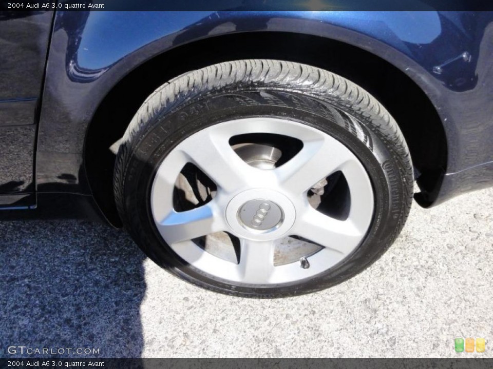 2004 Audi A6 3.0 quattro Avant Wheel and Tire Photo #46210328