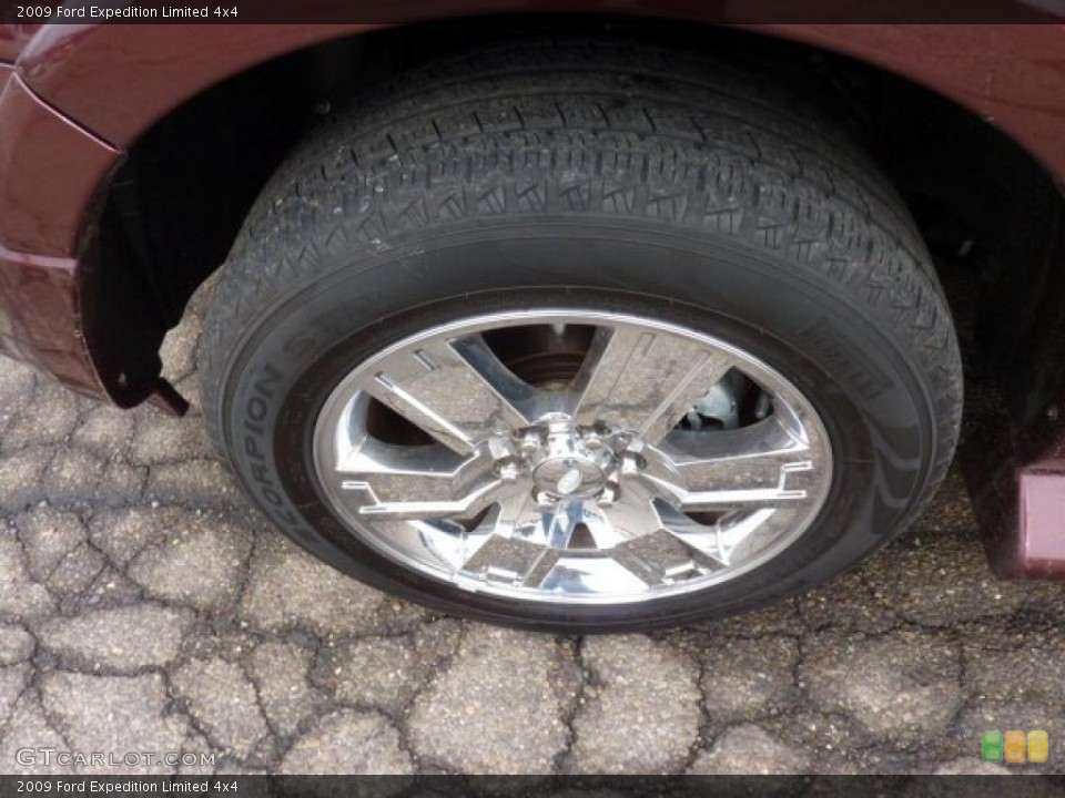 2009 Ford Expedition Limited 4x4 Wheel and Tire Photo #46446648