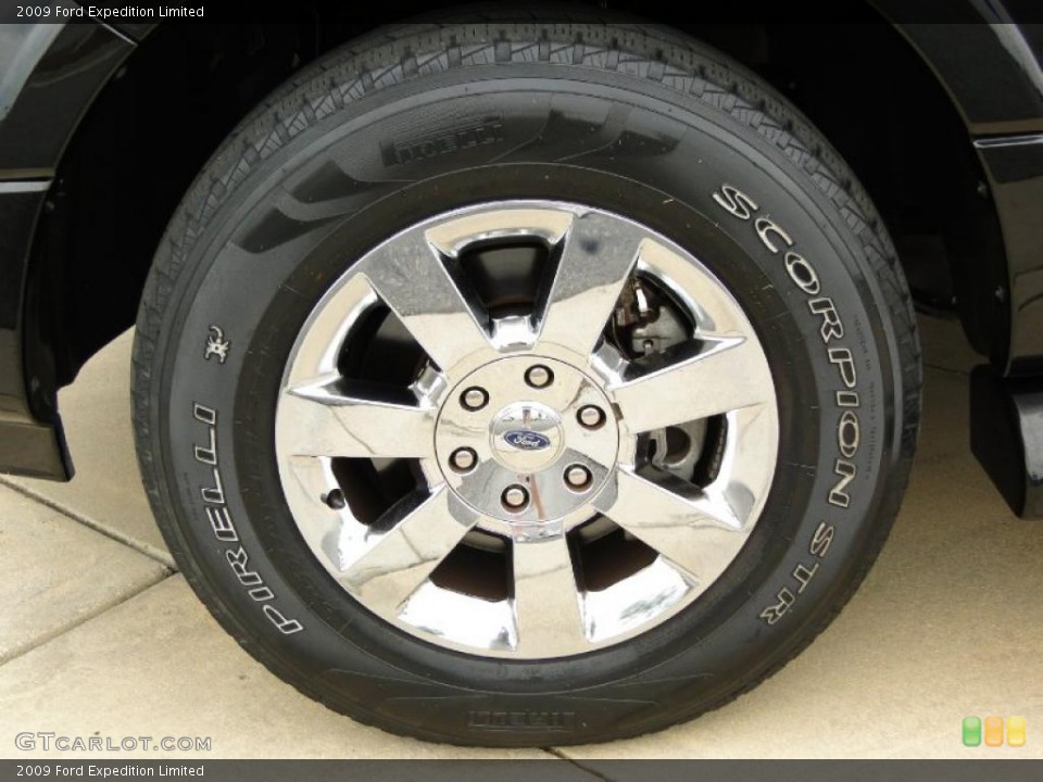 2009 Ford Expedition Limited Wheel and Tire Photo #49316637