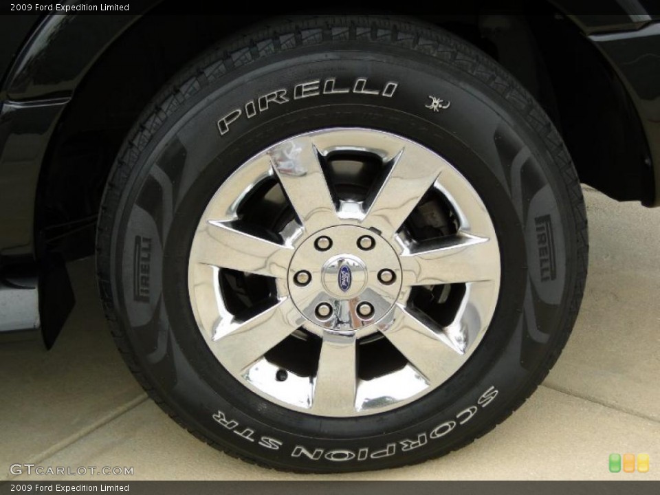 2009 Ford Expedition Limited Wheel and Tire Photo #49316649