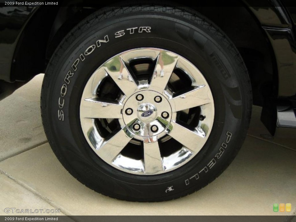 2009 Ford Expedition Limited Wheel and Tire Photo #49316664