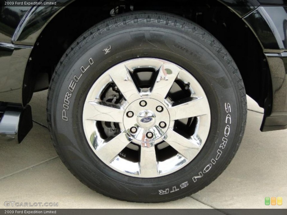 2009 Ford Expedition Limited Wheel and Tire Photo #49316679