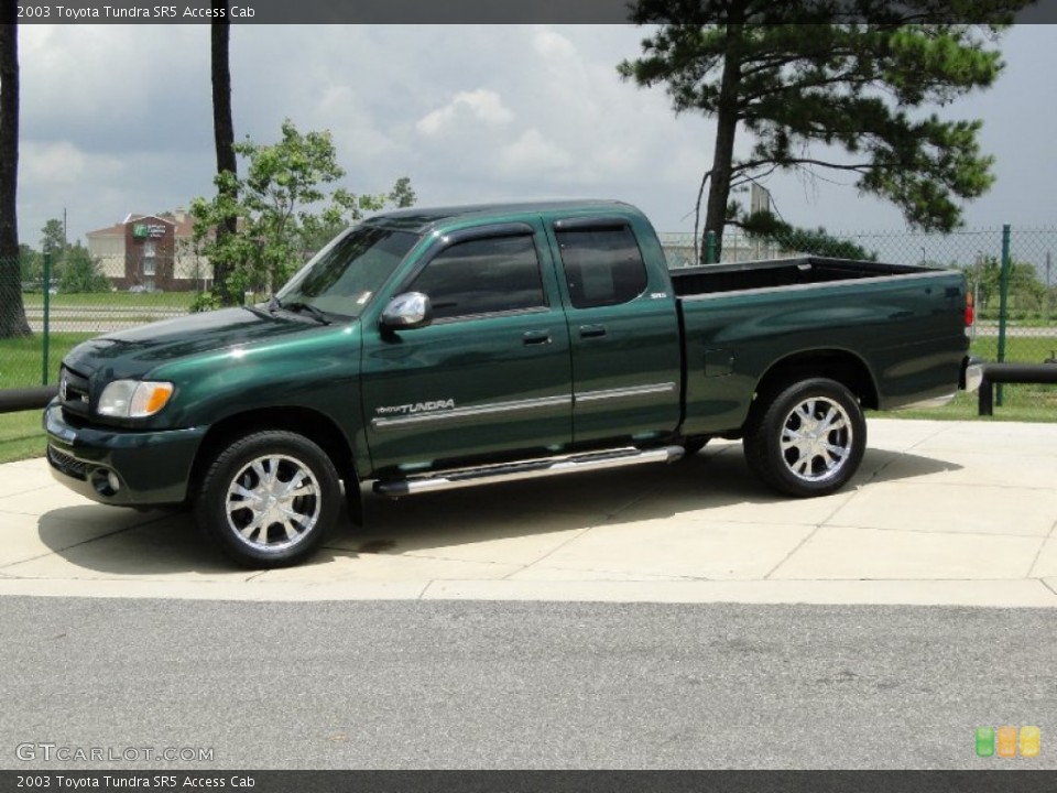 2003 Toyota Tundra Custom Wheel and Tire Photo #52148722