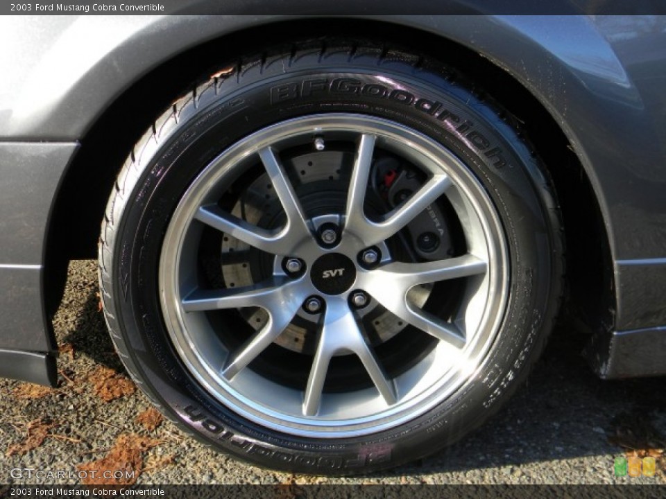 2003 Ford Mustang Custom Wheel and Tire Photo #58669913