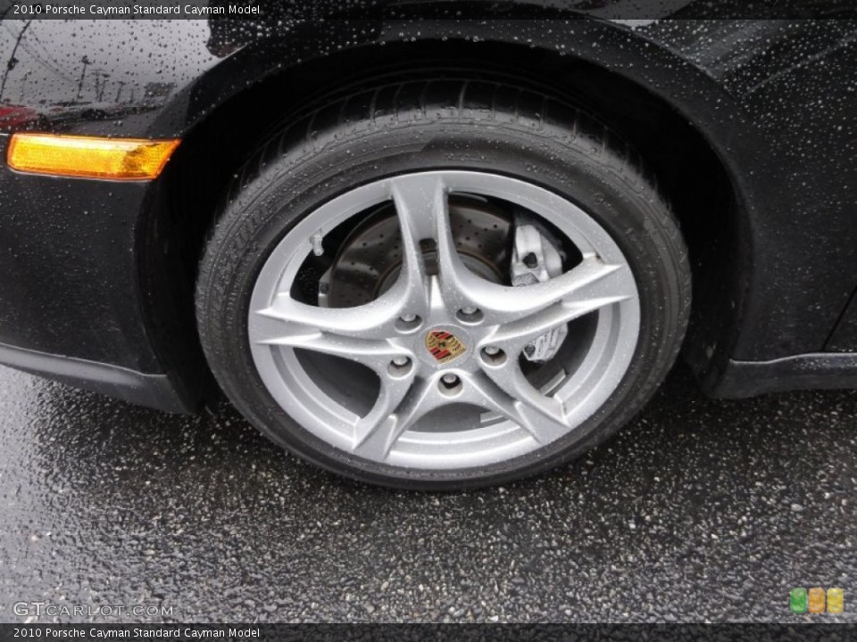 2010 Porsche Cayman  Wheel and Tire Photo #61742256