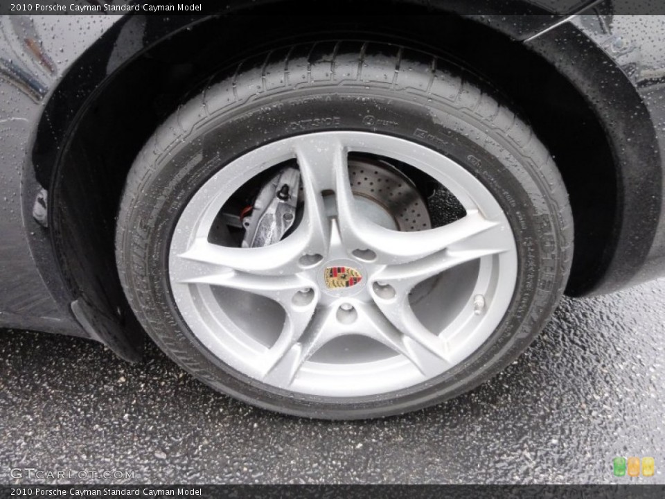 2010 Porsche Cayman  Wheel and Tire Photo #61742265