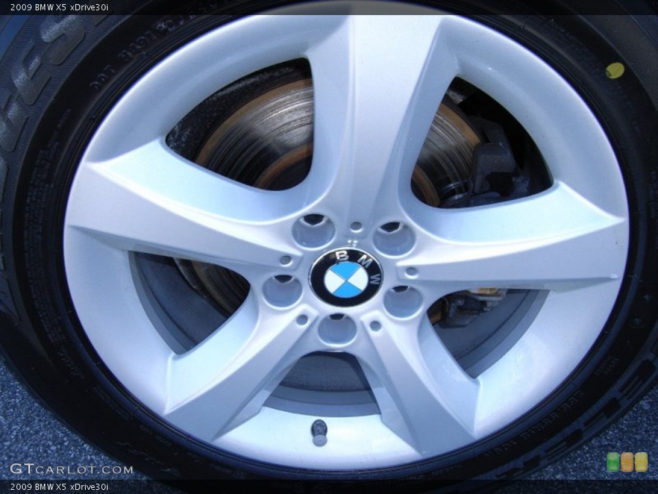 2009 BMW X5 xDrive30i Wheel and Tire Photo #61936613