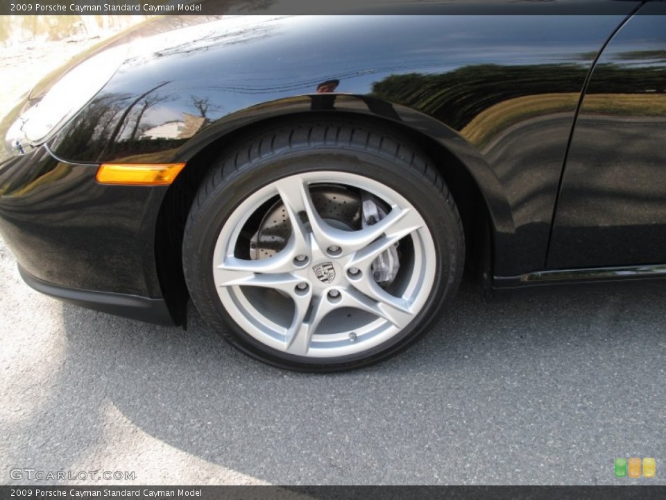 2009 Porsche Cayman  Wheel and Tire Photo #62733838