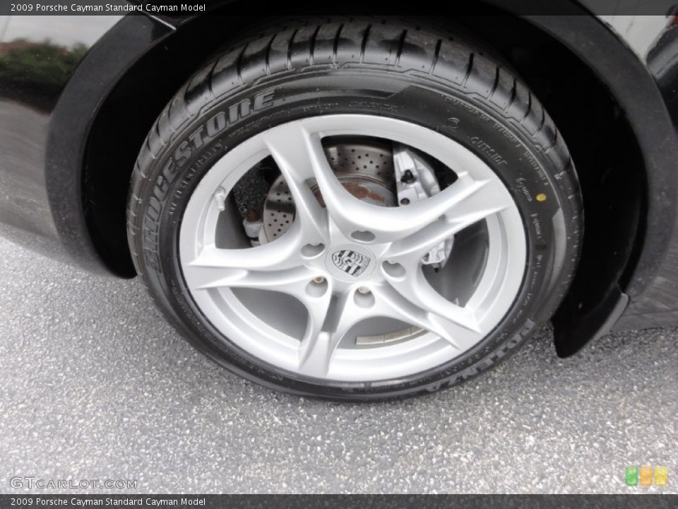 2009 Porsche Cayman  Wheel and Tire Photo #66850304
