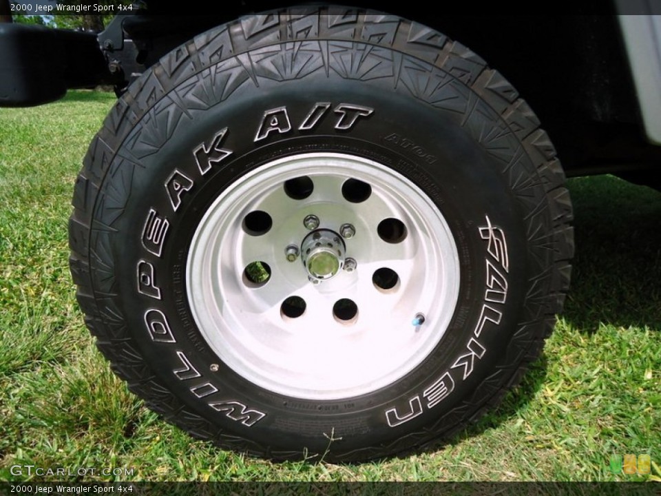 2000 Jeep Wrangler Custom Wheel and Tire Photo #68002577