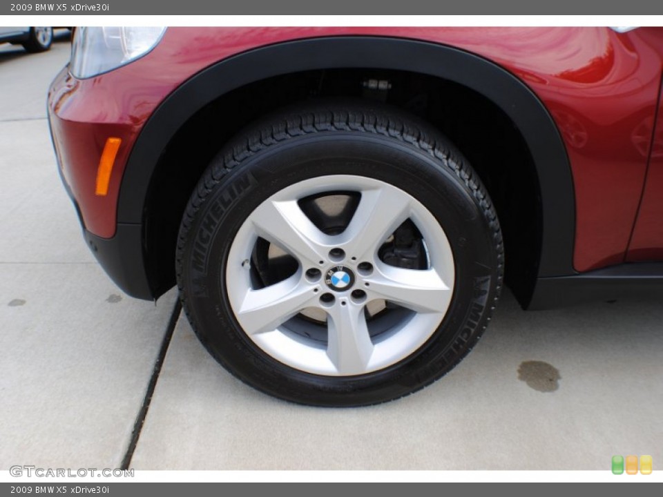 2009 BMW X5 xDrive30i Wheel and Tire Photo #71822281