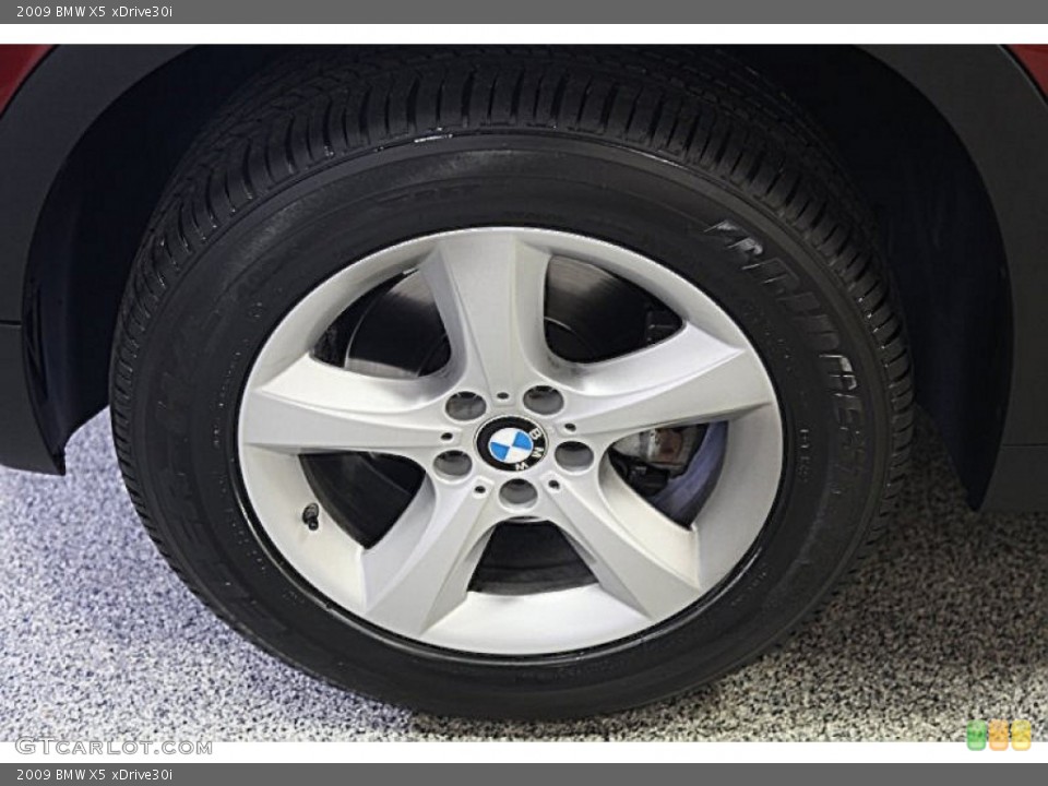 2009 BMW X5 xDrive30i Wheel and Tire Photo #74136545