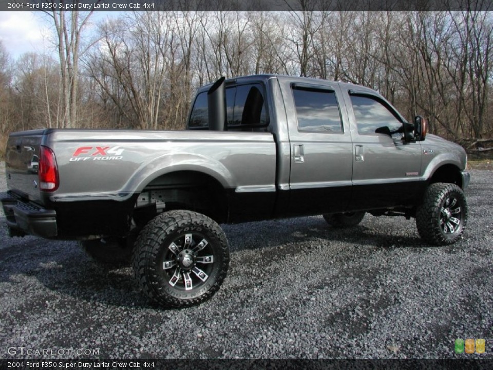2004 Ford F350 Super Duty Custom Wheel and Tire Photo #74694460