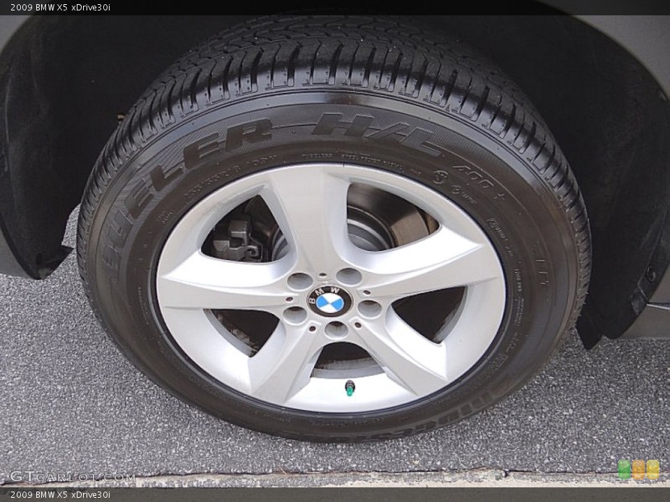 2009 BMW X5 xDrive30i Wheel and Tire Photo #75664981
