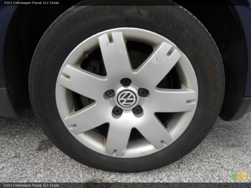 2001 Volkswagen Passat Wheels and Tires