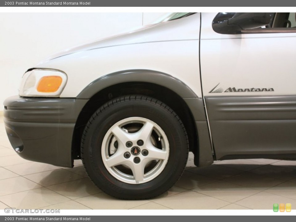2003 Pontiac Montana  Wheel and Tire Photo #78055006