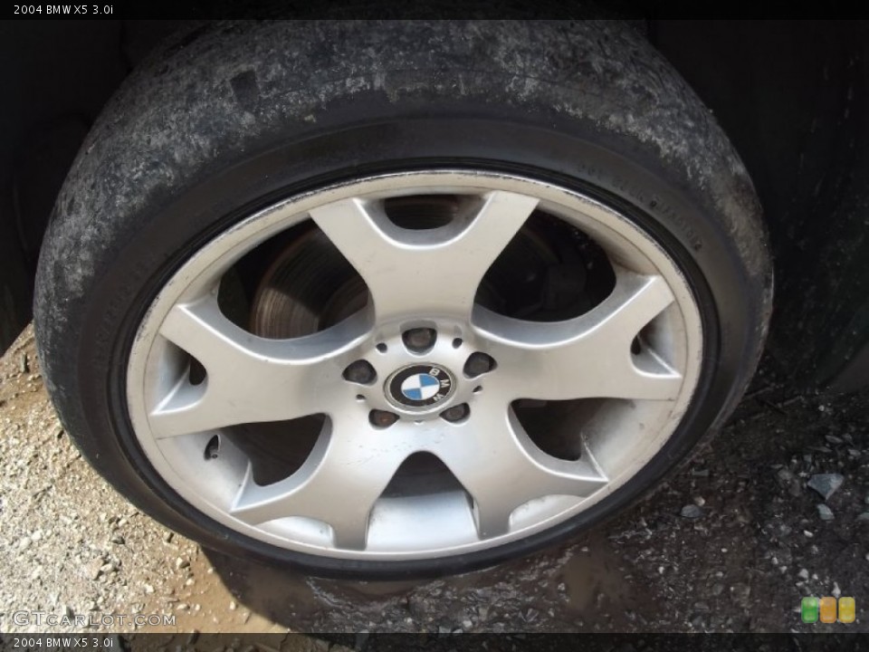 2004 BMW X5 3.0i Wheel and Tire Photo #78500222