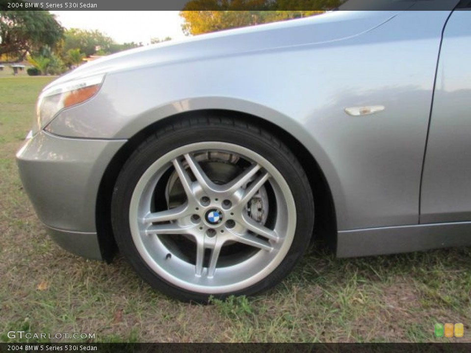 2004 BMW 5 Series 530i Sedan Wheel and Tire Photo #78548511