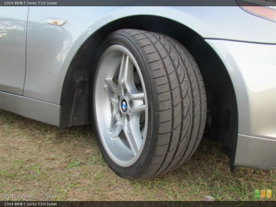 2004 BMW 5 Series 530i Sedan Wheel and Tire Photo #78548672