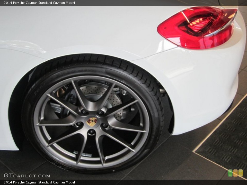 2014 Porsche Cayman  Wheel and Tire Photo #79993034