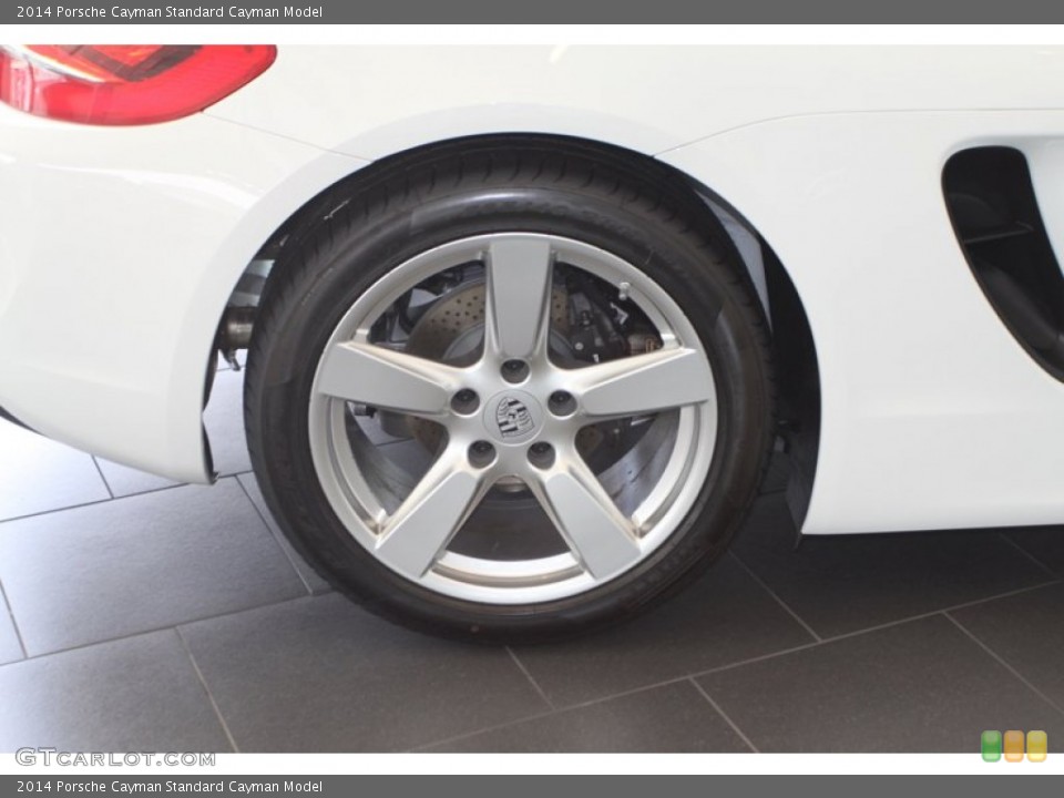 2014 Porsche Cayman  Wheel and Tire Photo #81270298