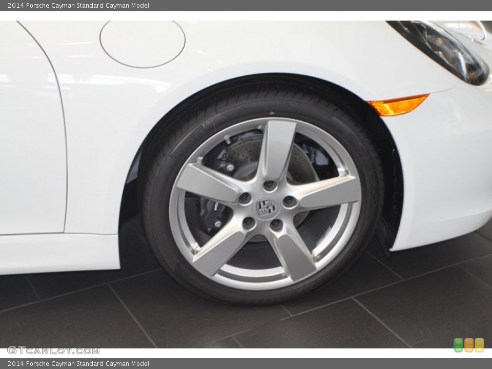2014 Porsche Cayman  Wheel and Tire Photo #81270318