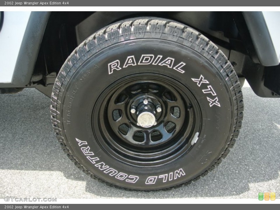2002 Jeep Wrangler Custom Wheel and Tire Photo #82233555