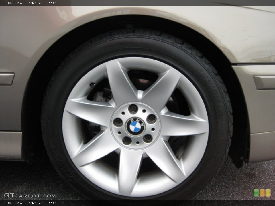 2002 BMW 5 Series Wheels and Tires