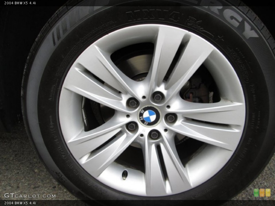 2004 BMW X5 4.4i Wheel and Tire Photo #87254229