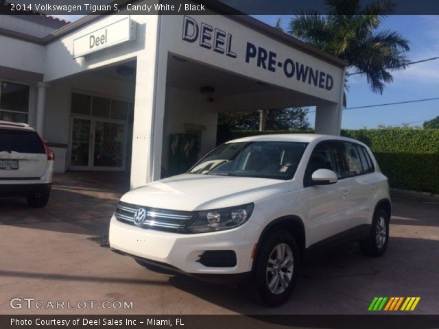 2014 Volkswagen Tiguan S in Candy White