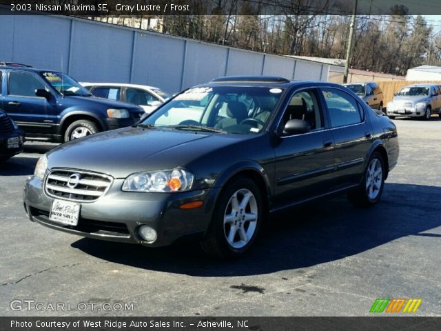 2003 Nissan Maxima SE in Gray Lustre