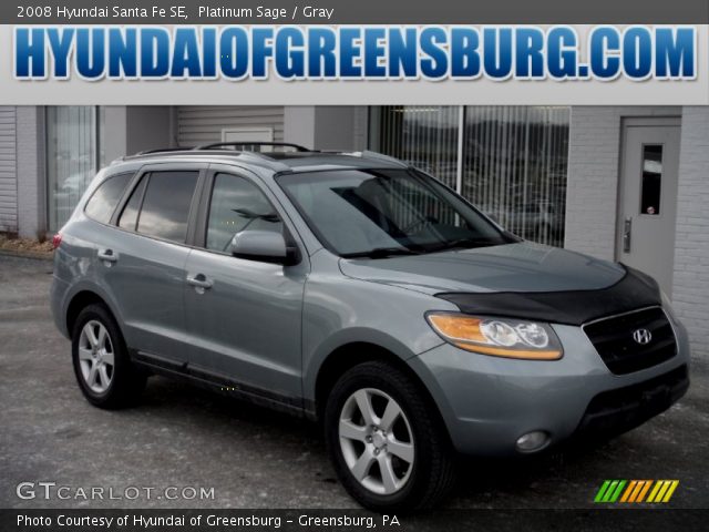 2008 Hyundai Santa Fe SE in Platinum Sage