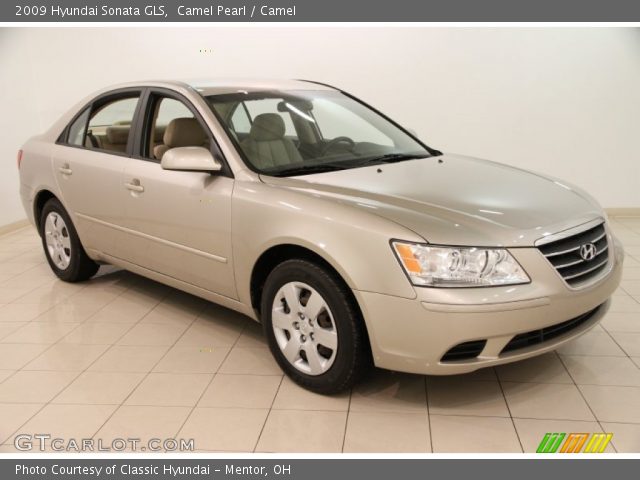 2009 Hyundai Sonata GLS in Camel Pearl