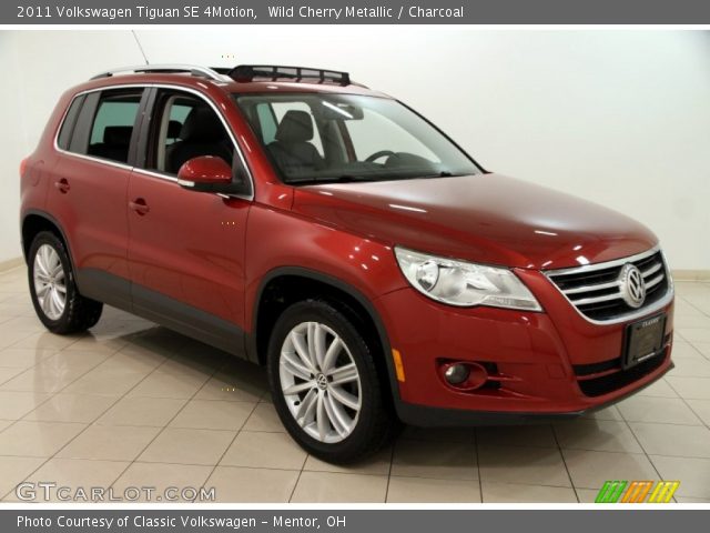 2011 Volkswagen Tiguan SE 4Motion in Wild Cherry Metallic